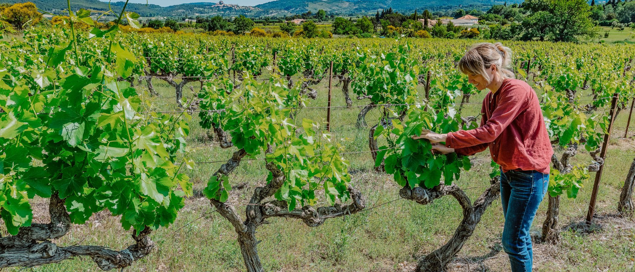 Purviti, Domaine